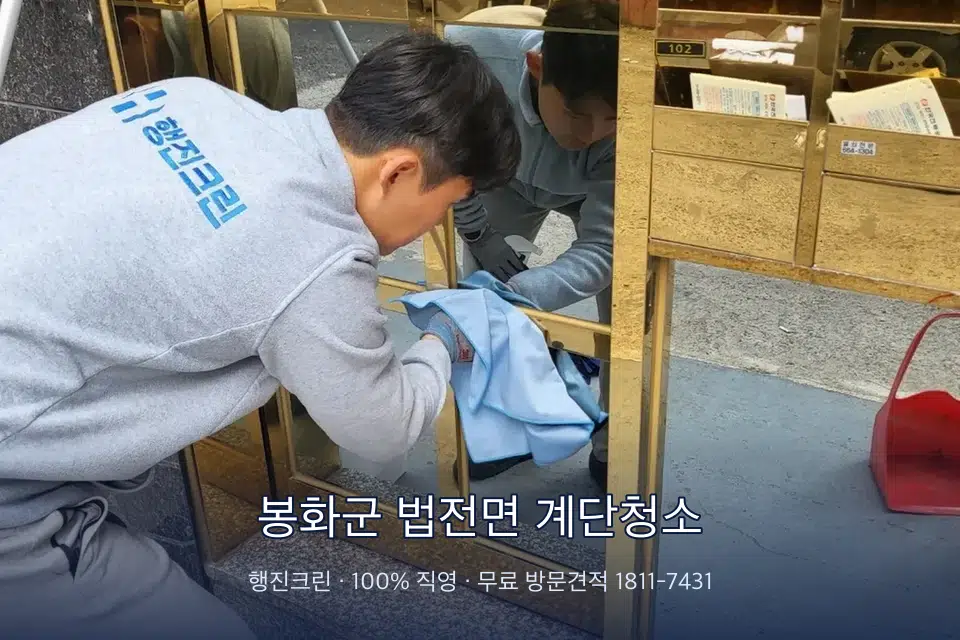 봉화군 법전면 계단청소