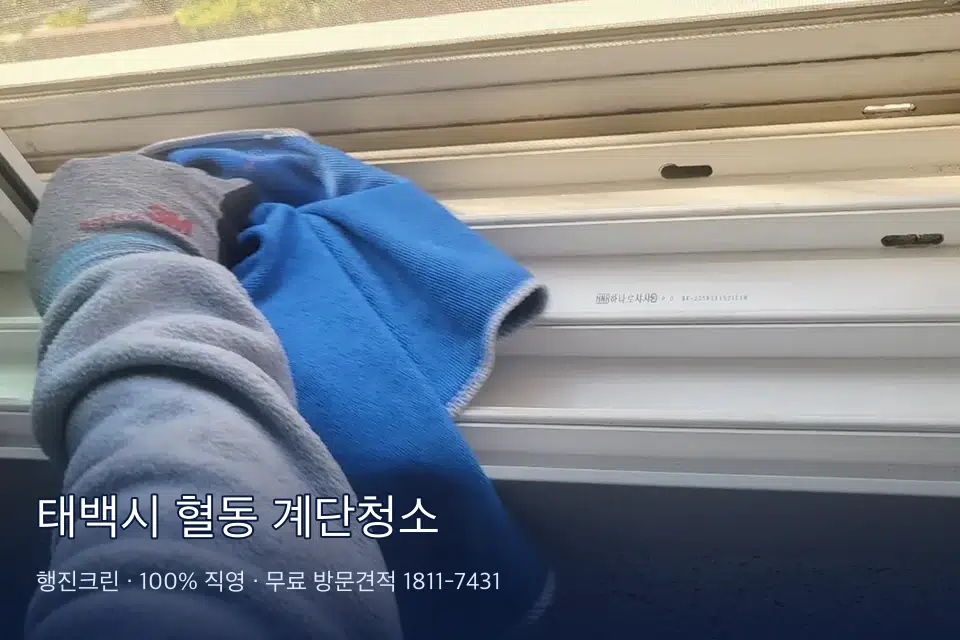 태백시 혈동 계단청소